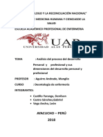 Análisis de Proceso Profesional y Personal