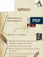 MRAVI Prezentacija