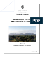 Plano Estratégico de Desenvolvimento do Distrito de Gorongosa 2006-2011