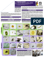 Fitoplancton y Zooplancton Humedal Cordoba