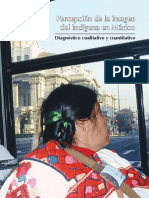Percepcion Imagen Indigena Mexico PDF