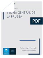 Teoría Gral. de La Prueba