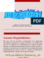 Anemia Megaloblastica