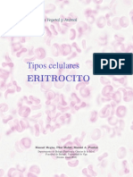 tipos-cel-eritrocito.pdf