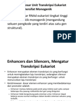 Regulasi Transkripsi Eukariot melalui Enhancer, Silencer, dan Metilasi DNA