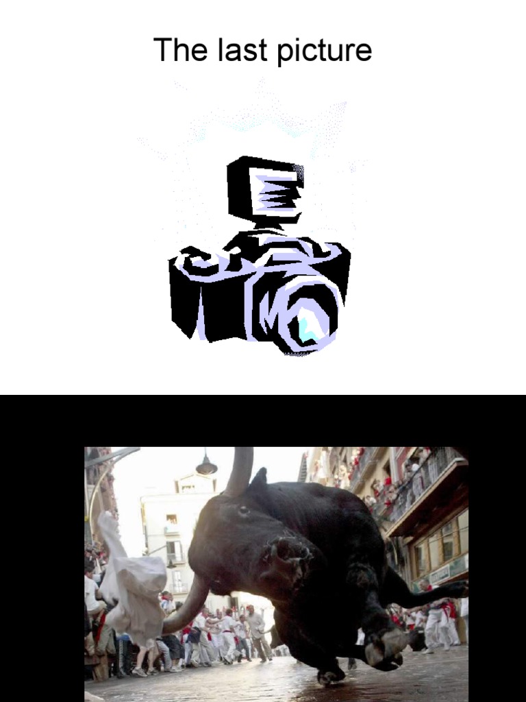 Last Picture | PDF