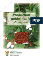 Cowpea - Production Guidelines For Cowpea