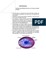 Cell Structure: A Guide to the Organelles