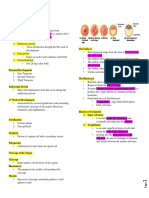 1 Digestive System Development