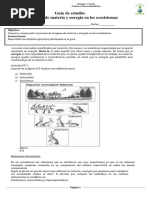 Guia 1° Medio de Flujo de Materia y Energia