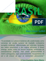 Cultura brasileira.pdf