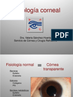 Clase Fisiologia Corneal