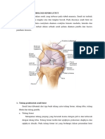 Anatomi Dan Fisiologi Sendi Lutut