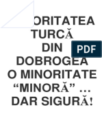 Frânturi Din Istoria Minorităţii Turce În Dobrogea