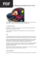 Processo Para Obtenção de Energia Dos Seres Vivos