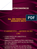 Litisconsórcio PDF