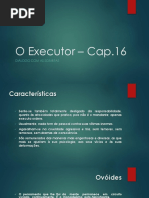 O Executor Cap16