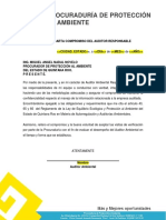 Formato 5. Carta Compromiso Del Auditor Ambiental