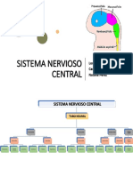 Sistema Nervioso Central: Loreto Moreno Camila Rodríguez Natalia Pérez