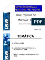 PMI.pdf