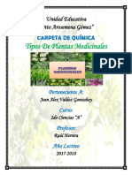 PLANTAS MEDICINALES (2).docx