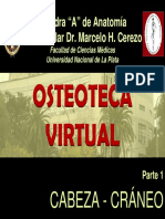 1 CABEZA.pdf