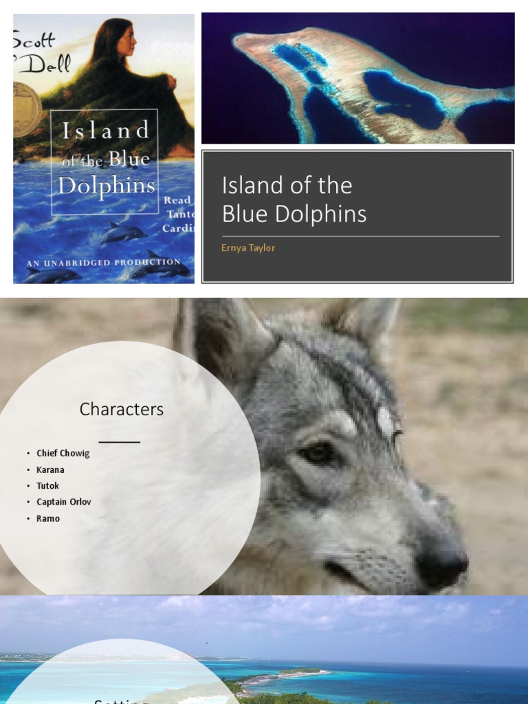 Island of the Blue Dolphins (Novel Study Guide) – CLASSROOM COMPLETE PRESS, image size:768x1024