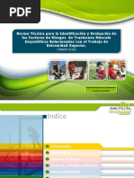 Norma Tecnica Tmert-eess Ene 2015