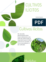 Cultivos Ilicitos