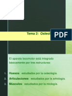 tema2_osteologia