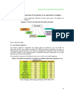 Tecnica para Nutricion