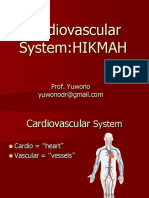 NNI Cardiovascularsystem 104349