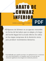 Aparato de Schwarz