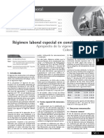 regimen laboral.pdf