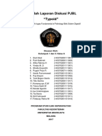 Laporan Hasil Diskusi Typoid