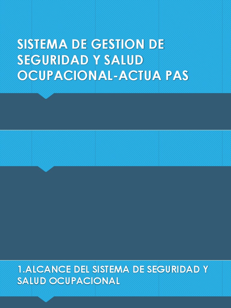 Sistema de Seguridad y Salud Ocupacional | PDF | Informática