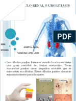 Calculo Renal y Ventajas de La Automatizacion