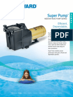 Hayward Super Pump DS