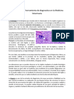 Histología Como Herramienta de Diagnostico en La Medicina Veterinaria