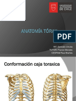 Anatomia Torax