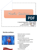 Bomba cardiaca fisio sanfer.pdf