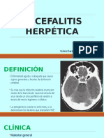 Encefalitis Herpética: Definición, Clínica, Tratamiento y Pronóstico