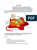 4.0 Cells: Nucleus