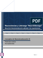 Apunte A - Conceptos de Nse. IX - Neuroplasticidad I