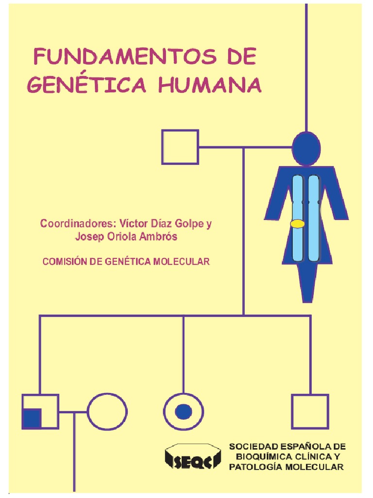 Fundamentos de Genetica Humana | PDF | Mitosis | Mitosis