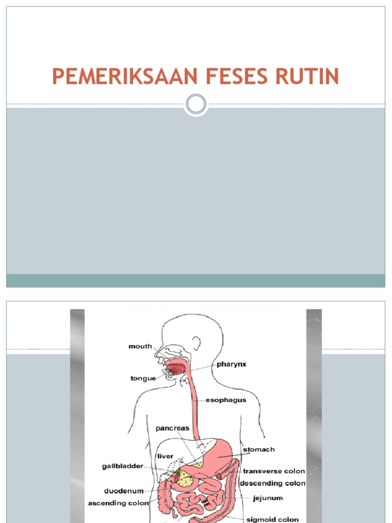 Hasil Lab Feses Bakteri Positif | PDF | Kesehatan Holistik | Sains ...