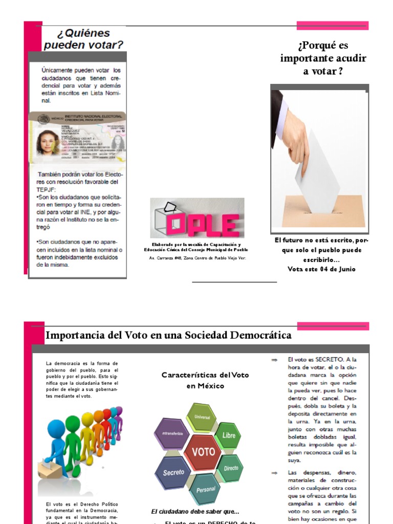 Importancia del Voto en Democracia | PDF
