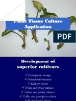 Plant Tissue Culture Applications for Crop Improvement