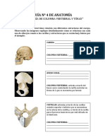 Guía #4 Columna y Tórax PDF