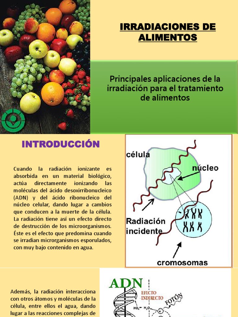 Aplicaciones de Irradiación en Alimentos | PDF | Alimentos | Biología